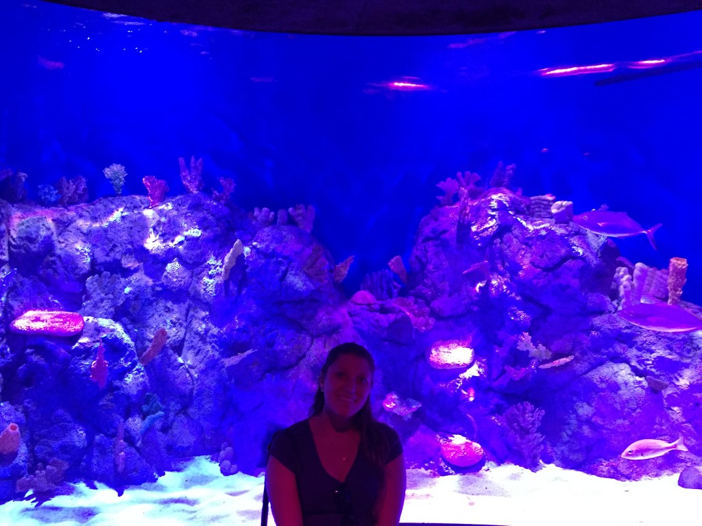 Sea Life Aquarium 5