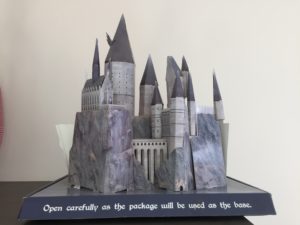 Compras do Harry Potter em Orlando (5)